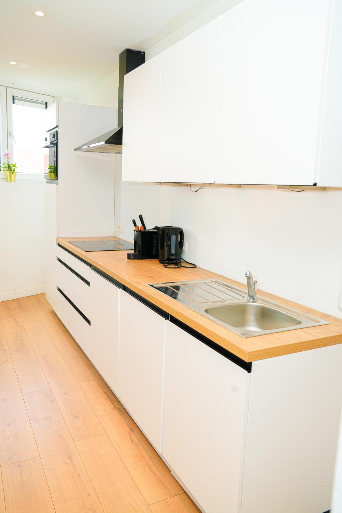 Apartment Modern 1br & 1lr Apartment, 10 Min Walk To Center *